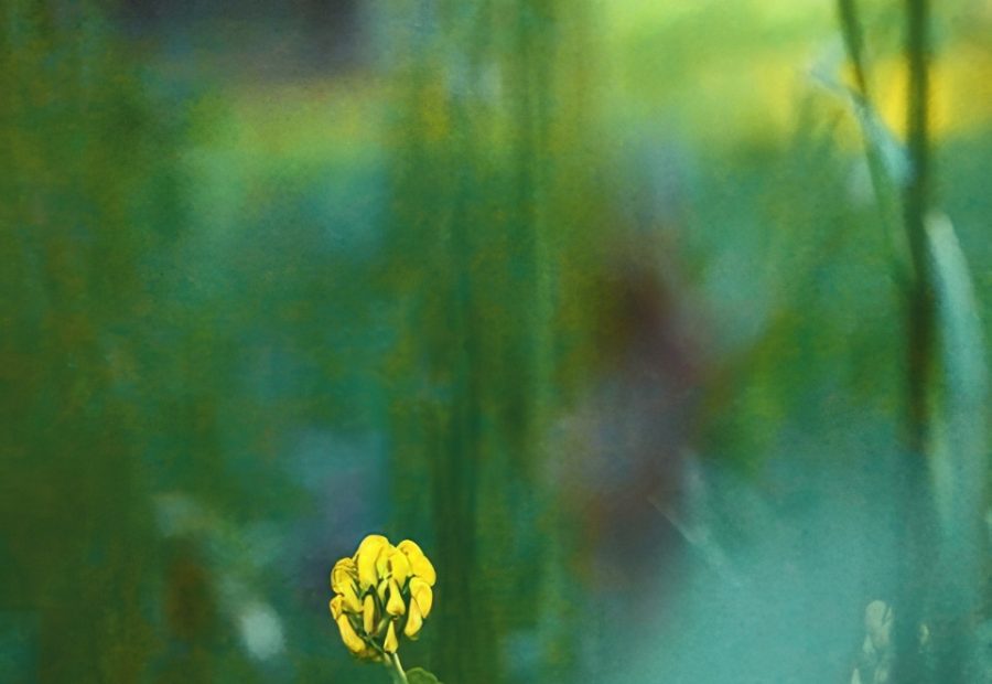 Galerie 3 - Bild 1 von Doris Caspari