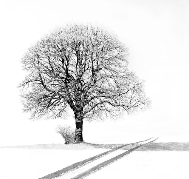 Martin Gabler - Winterstimmung Martin Gabler - Winterstimmung