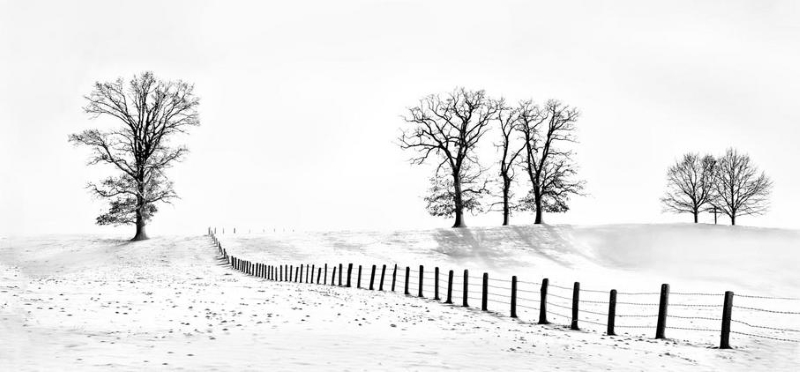 Martin Gabler - Wintergrafik Martin Gabler - Wintergrafik