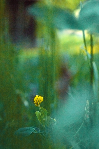 Doris Caspari - Am Wiesengrund