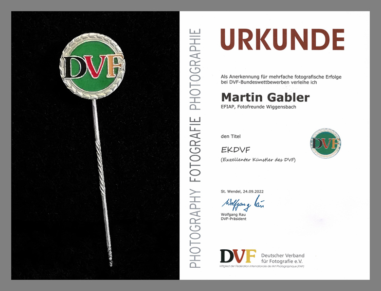 Ehrentitel EKDVF für Martin Gabler