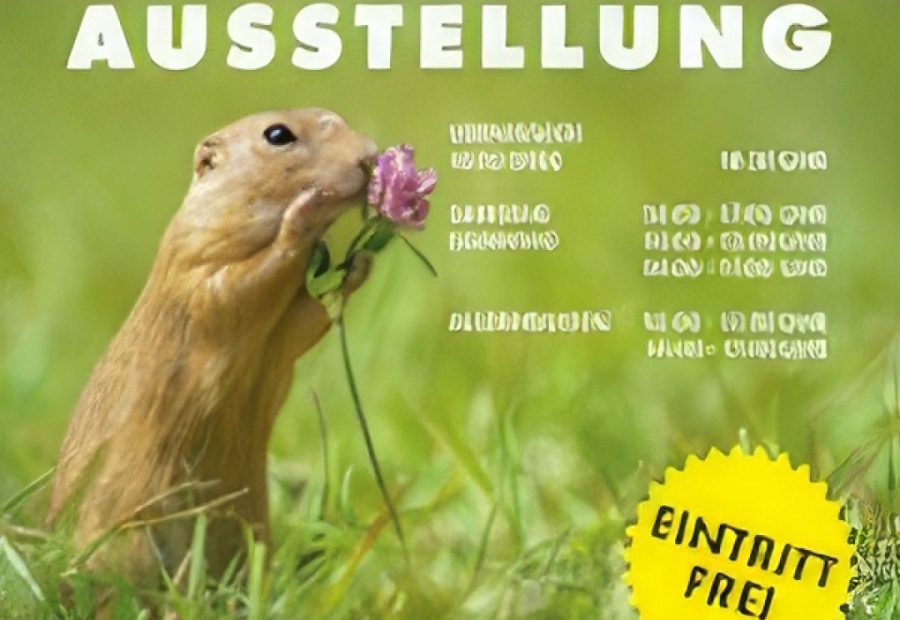 18.10 - 02.11.2025 Fotoausstellung Eriskirch