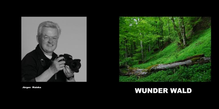 Fotobuch Wunder Wald – Titelbild