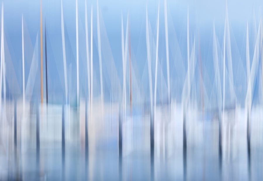 Galerie 6 - Bild 1 von Thomas Pfleiderer