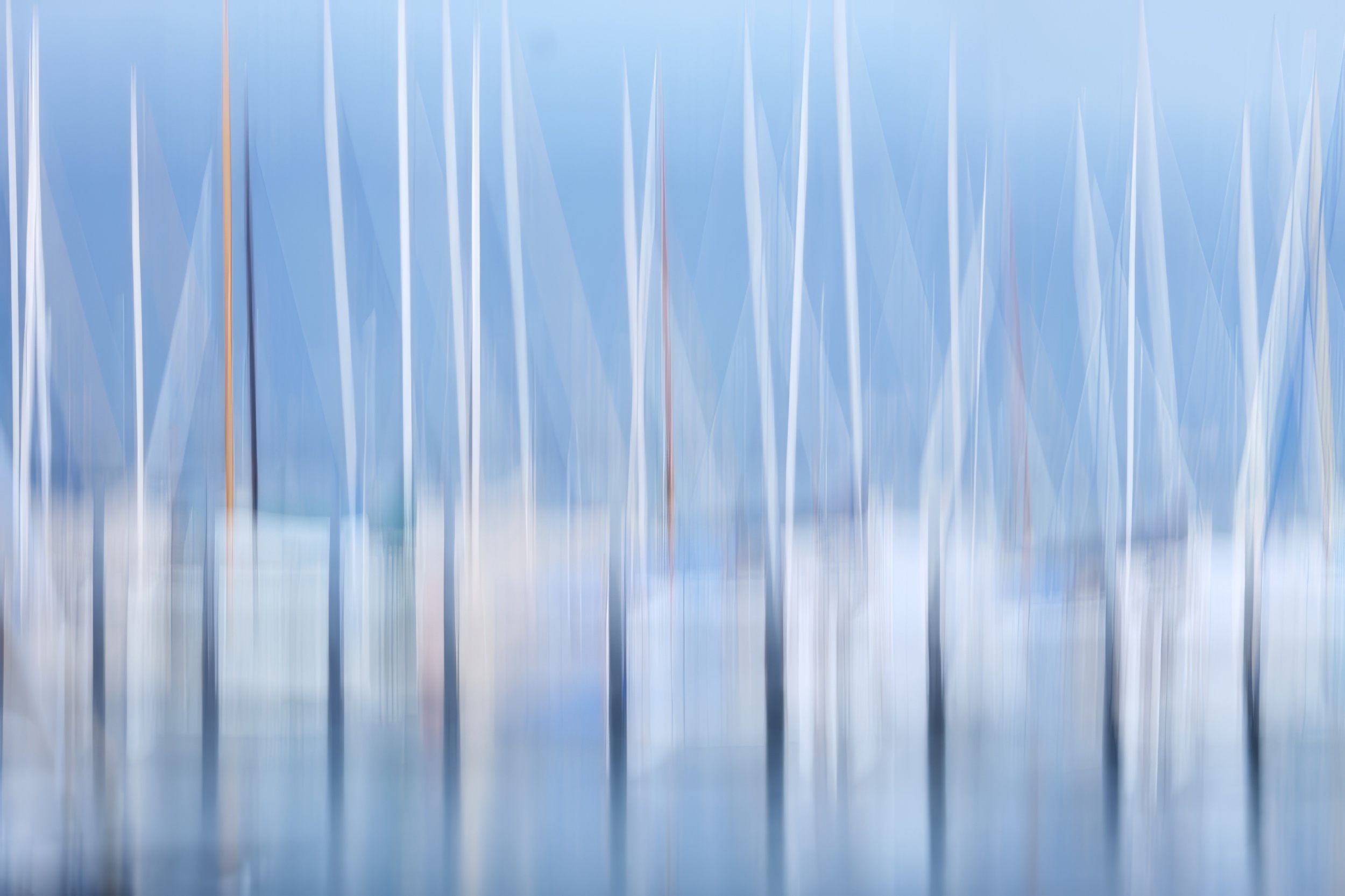 Galerie 6 - Bild 1 von Thomas Pfleiderer