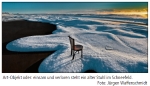 2016 08 28 allgaeuweit AZ Seite 16Klein