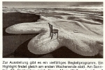 2016 09 02 Wochenblatt WiggensbachKlein