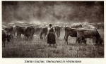 2016 10 07 Wochenblatt WiggensbachKlein