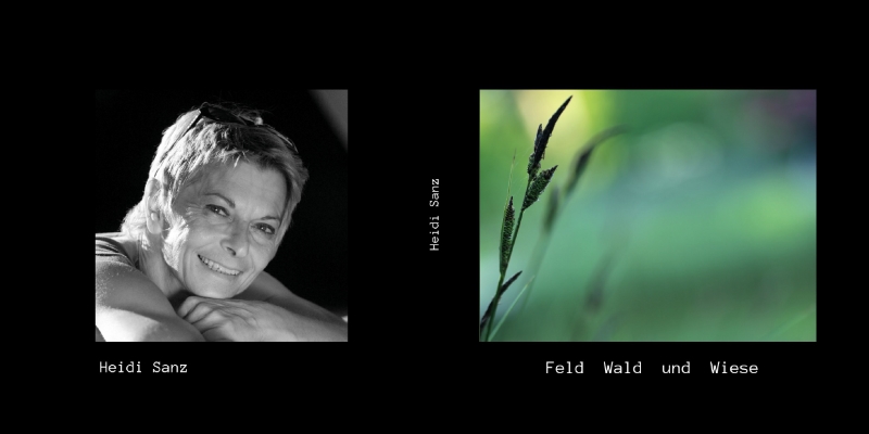 Fotobuch heidi sanz