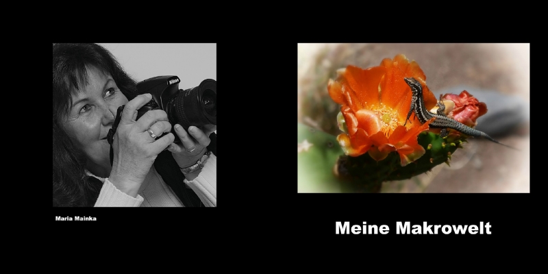Fotobuch maria mainka