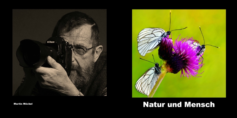 Fotobuch martin moeckel