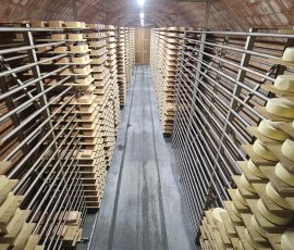 Der Lagerraum der Käselaibe