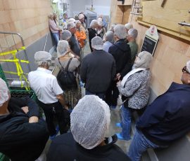 Viel Spannendes aus der Käseproduktion gibt es zu Erfahren
