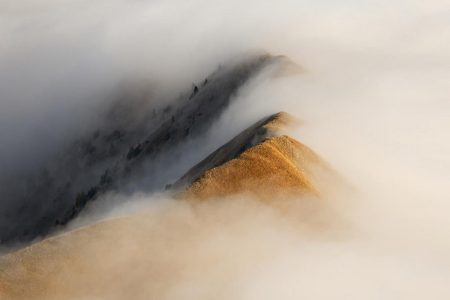 Müller Michael Berge im Morgennebel URKUNDE